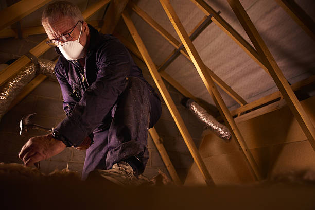 Best Specialty Insulation in St Paris, OH