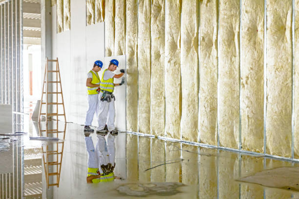 Best Residential Insulation in St Paris, OH